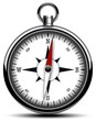 compass white metalic