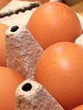 Eier, Nahaufnahme