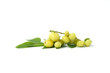 small star gooseberry on the white background