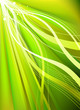 lighting background