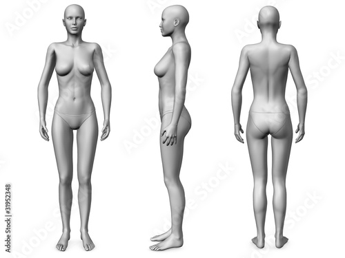 Illustration: female body female body