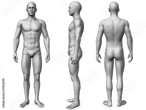male  body