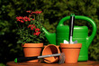 Blumen umpflanzen mit Giesskanne