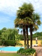 jardin exotique avec piscine