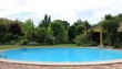 piscine dans un jardin exotique