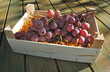 Grapes in the wooden container