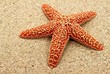 Seestern auf Sand