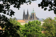 View on the spring Prague gothic Castle with the green Nature
