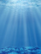 underwater