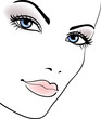 beauty girl face, beautiful woman vector portrait