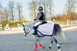 equitation - les protectiosn du cheval et du cavalier