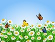 Vector: nature background nature background