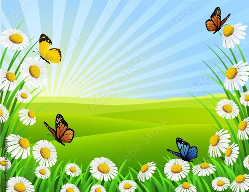 Vector: nature background nature background