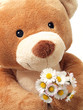 Foto: Teddy bear with daisies Teddy bear with daisies