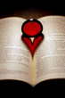 Foto: Red Heart on a Book Red Heart on a Book