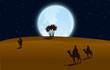 Night in desert Night in desert