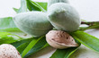 A fényképek részletei amandes