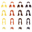Vector female bridal hairstyles