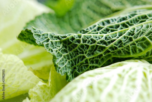 Photo: Wirsingkohl - blätter Wirsingkohl - blätter