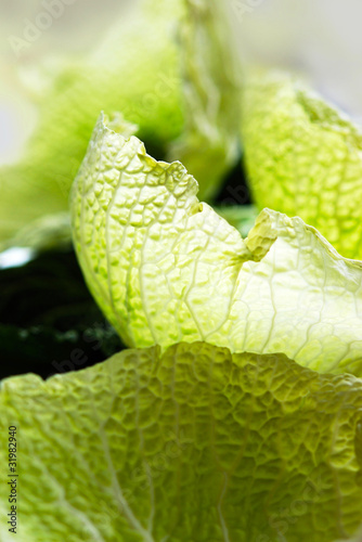 Photo: Wirsingkohl - blätter Wirsingkohl - blätter