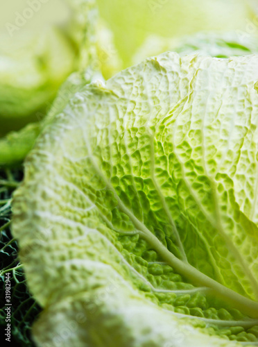 Photo: Wirsingkohl - blätter Wirsingkohl - blätter
