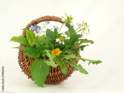 Photo: Kräuterkorb Kräuterkorb