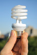 Photo: Energy Efficient Light Bulb Energy Efficient Light Bulb