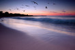 Sunset Beauty