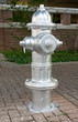 Photo: Freshly painted silver fire hydrant Freshly painted silver fire hydrant