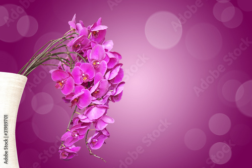 Photo: Bouquet d'orchidée, fond violet Bouquet d'orchidée, fond violet