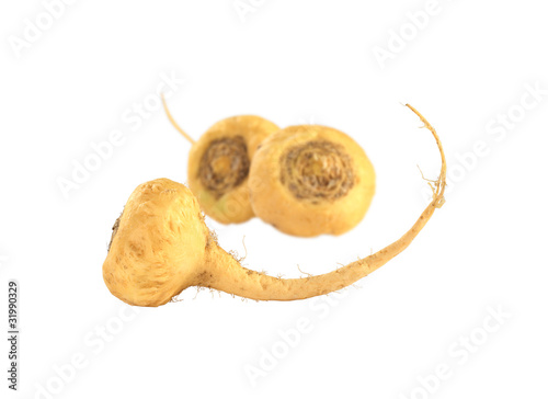 Foto: Peruvian Ginseng (Sp. Maca, lat. Lepidium meyenii) Peruvian Ginseng (Sp. Maca, lat. Lepidium meyenii)