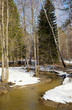 River in the forest