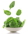 fresh spinach in a white bowl
