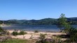 Lake and forest