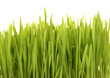 environment