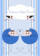 Welcome Baby Twins