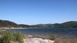 Lake and forest