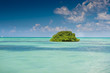Island of mangrove green forest in a blue ocean in summer Island of mangrove green forest in a blue ocean in summer
