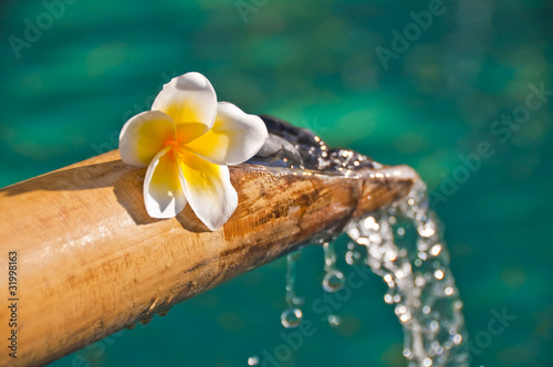 Photo: Fontaine bambou et fleur de frangipanier Fontaine bambou et fleur de frangipanier