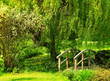Garden footbridge