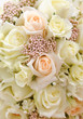 WHITE ROSES BACKGROUND WHITE ROSES BACKGROUND