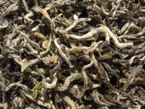 Photo: White tea named Fu Ding Bai Cha White tea named Fu Ding Bai Cha