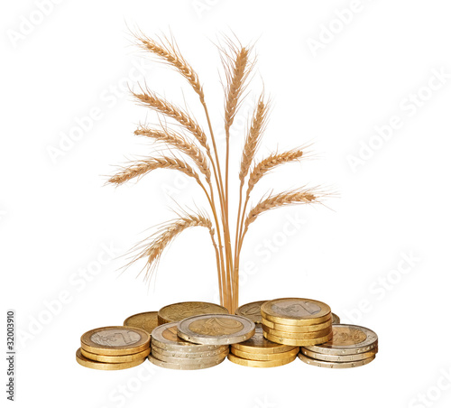 Photo: Wheat growing from pile of coins Wheat growing from pile of coins