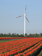 Alternative Energiequelle Windkraft Alternative Energiequelle Windkraft