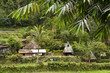 huttes philippines