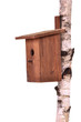 Real estate concept - wooden birdhouse on birch stem isolated