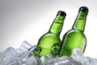 Beer bottles on ice