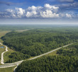 Roads in the forest