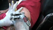 Tattoo Needle In Action