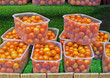 tomates cocktail dans des barquettes plastiques, étal de marché